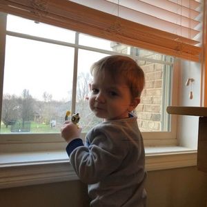 Meet your Posher, Donna